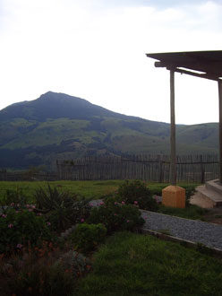 view-from-amatola-mountain-lodge