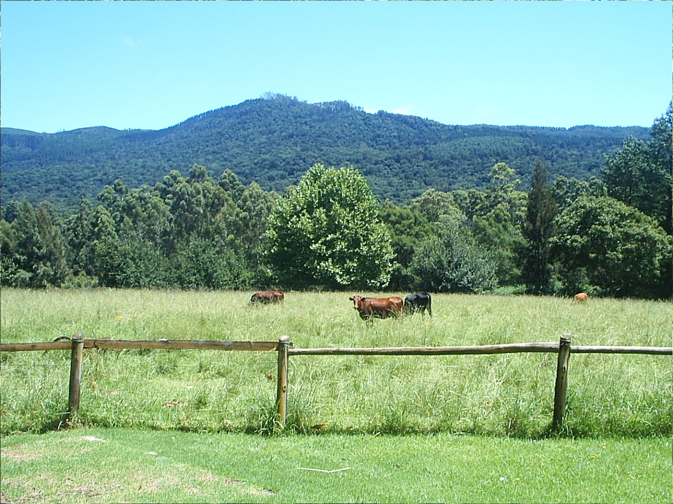 croft cottages escape route stutterheim