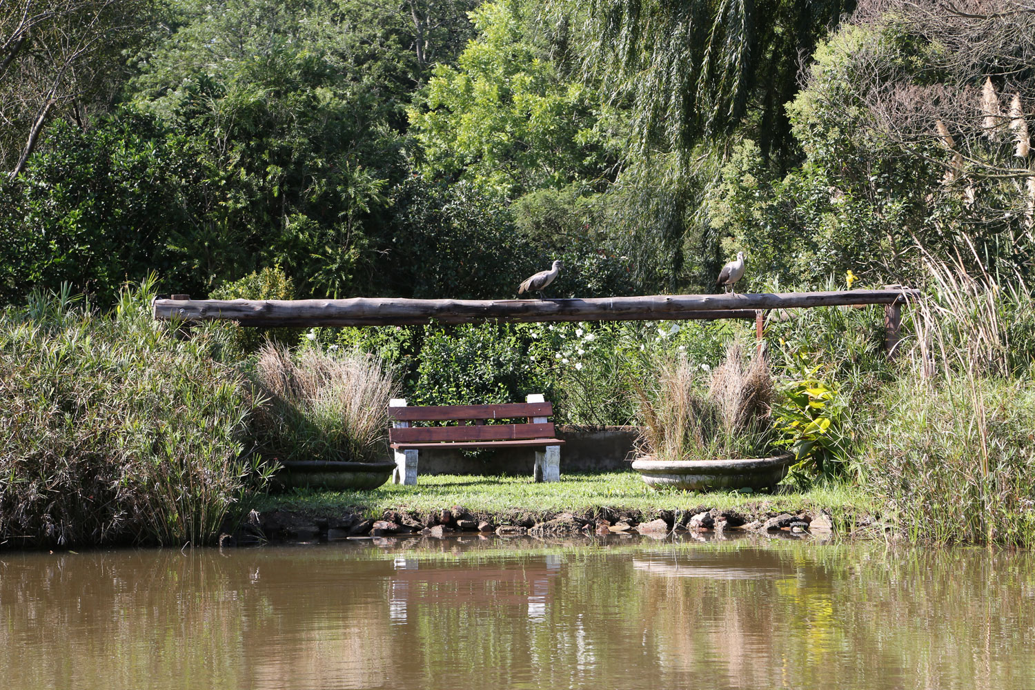 LLCHPHOTSHOOTMAY2017-025