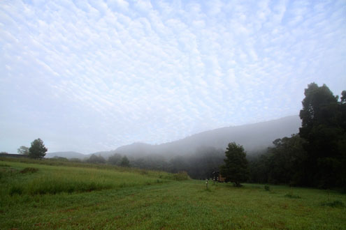 shire-eco-lodge-camp-site