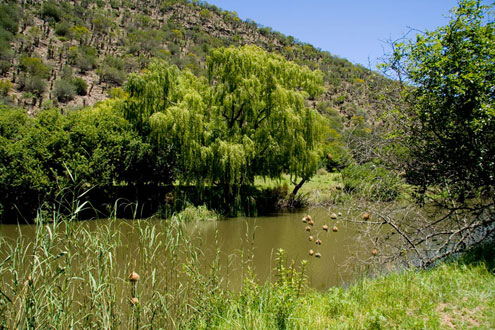 the-thomas-river-escape-route