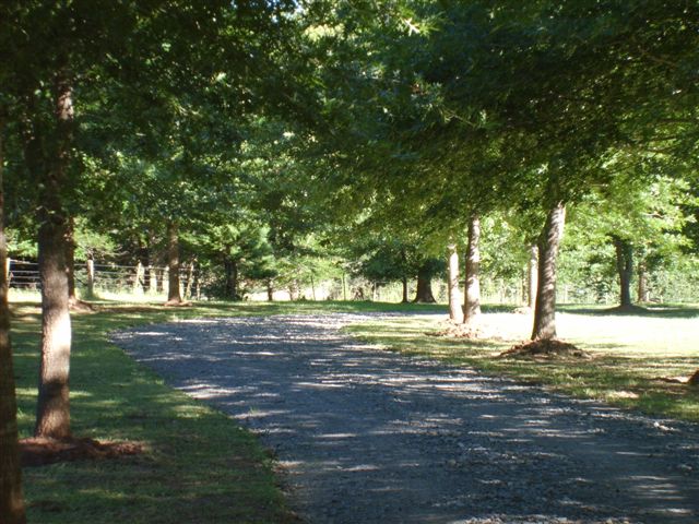 wattlechop self-catering camping escape route