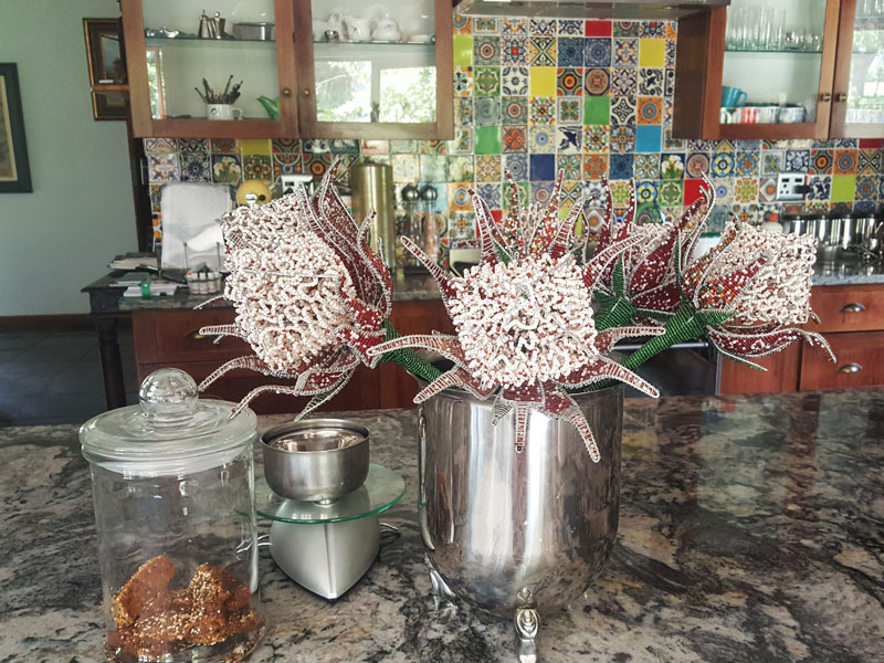 kitchen Yellowwood Creek Accommodation