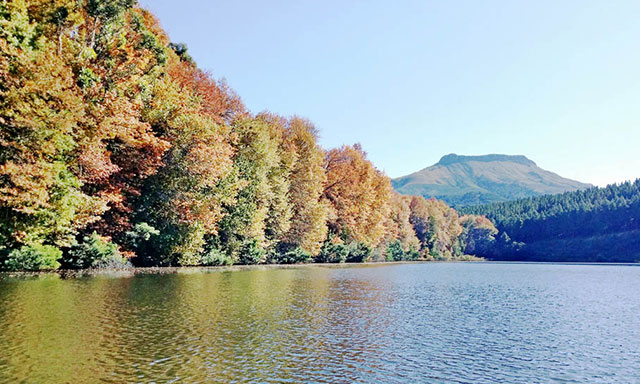 amatola-fly-fishing-Amatola Fly Fishing Club