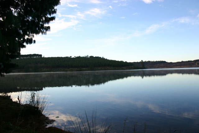 gubu dam stutterheim trout fishing picnic spot