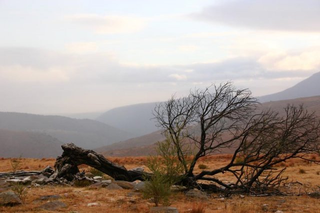 Rolling hills and open spaces