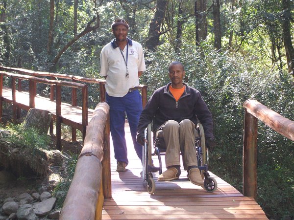 kologha forest boardwalk